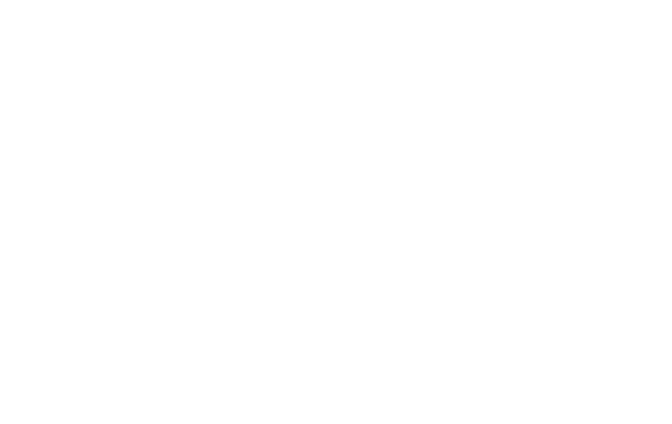 Dz logo mitzusatz weiss