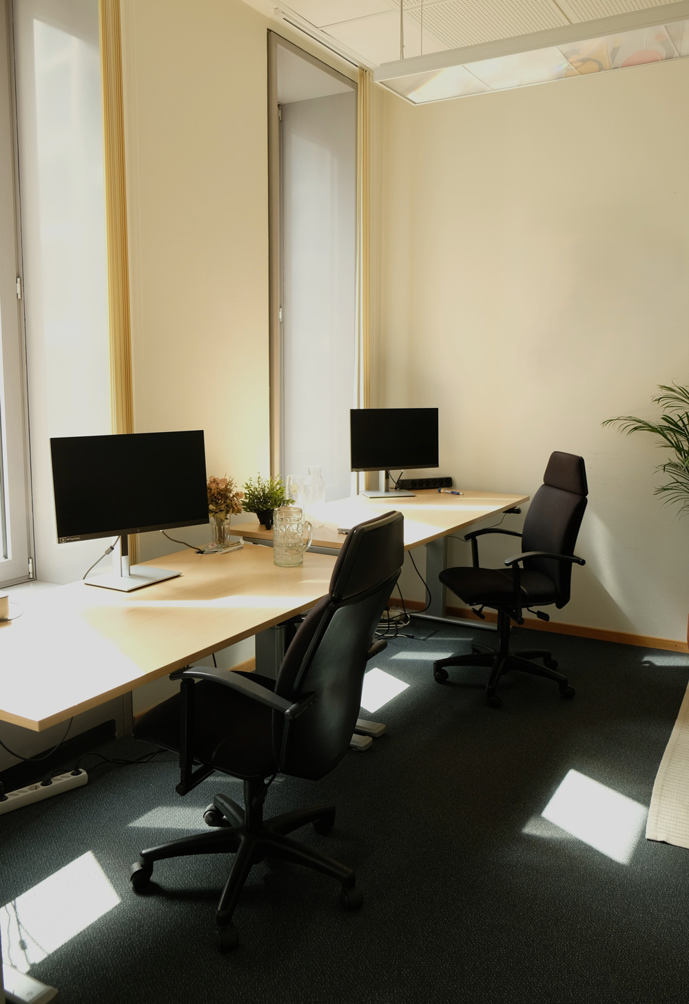 Zwei helle Arbeitsplaetze mit Monitoren und Buerostuehlen stehen an grossen Fenstern in einem Buero.
